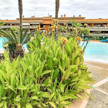 Апартаменти Piscinas Del Teide Пуерто-де-ла-Крус Екстер'єр фото